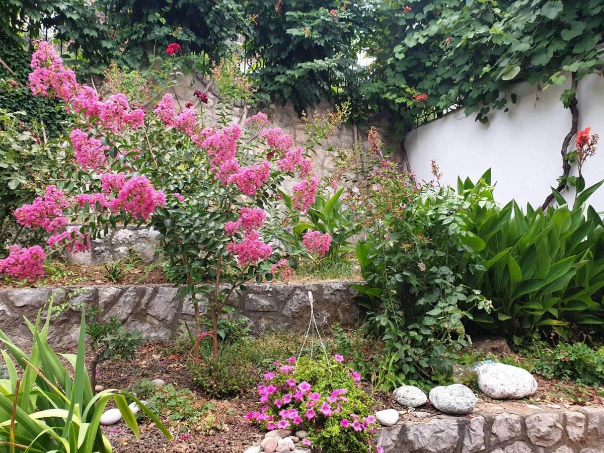 Apartman Veliki Pijesak Dobra Voda Bagian luar foto